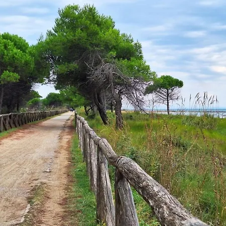 Relax Just 50mt From The Beach-beahost * 비비오네